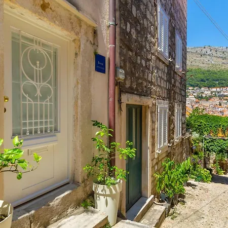 Old Town House With Floor Heating & Lush Private Garden Holiday home